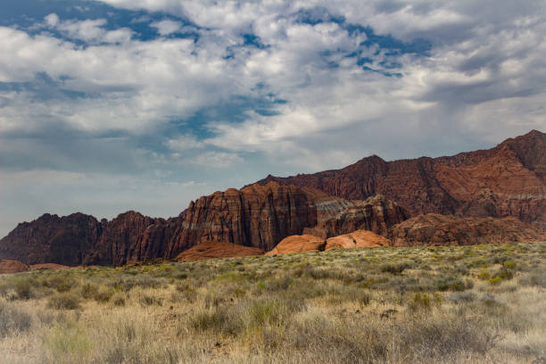 istock Incredible field in front of Snow Canyon State Park 890395984