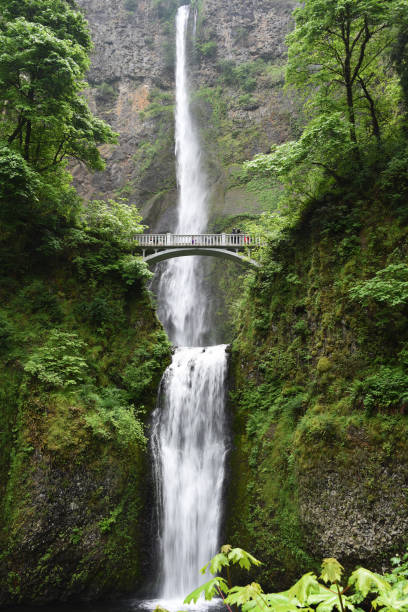 istock Multnomah Falls on the Oregon side of the Columbia River Gorge 890412652