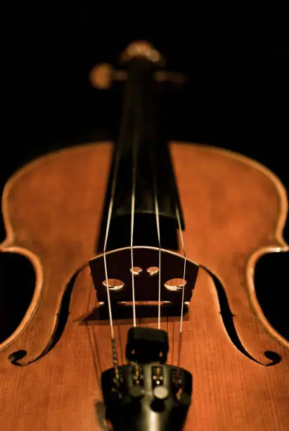 Photo of Fragment of a violin