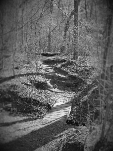 istock walking train to nowhere High Falls, Ga. USA 890456580
