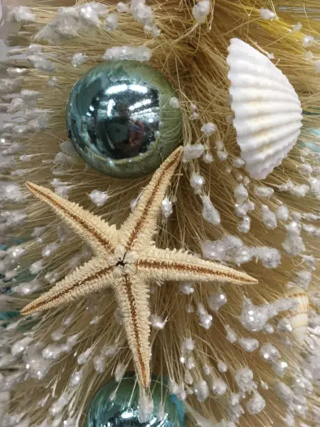 Beach themed Christmas decorated tree, with baubles sea shells and sea stars