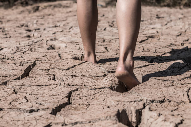 istock The feet that walk on the ground break because of drought. 890461288