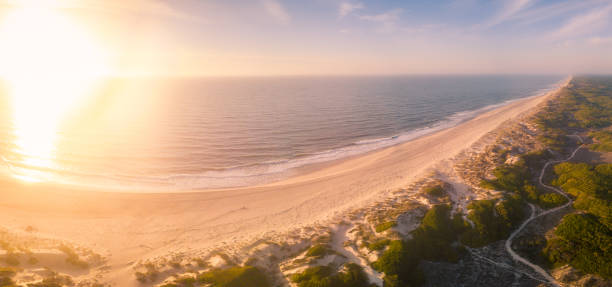 istock Aerial view of beach at sunset 890461360