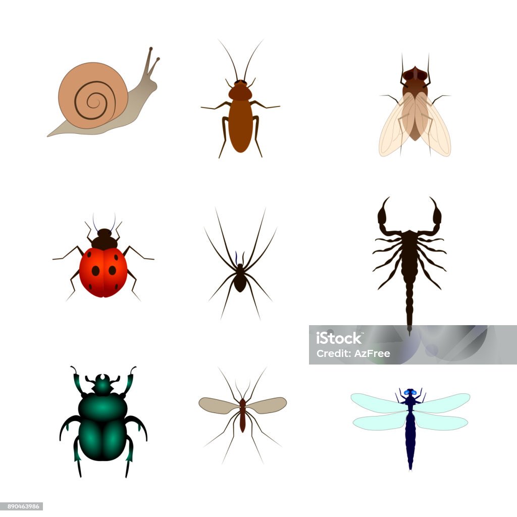 Different Insects Sprites Set Of Different Insects Vector Illustration Scorpion Fly Spider Snail ...