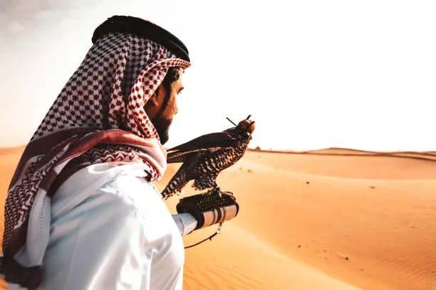 Photo of arabic man in the desert with a falcon