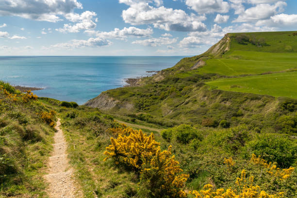 istock Near Chapman's Pool, Jurassic Coast, Dorset, UK 890573368