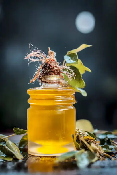 Photo of Murraya koenigii,Curry leaves with extracted oil in a transparent bottle.Concept of taking care of hair and skin.