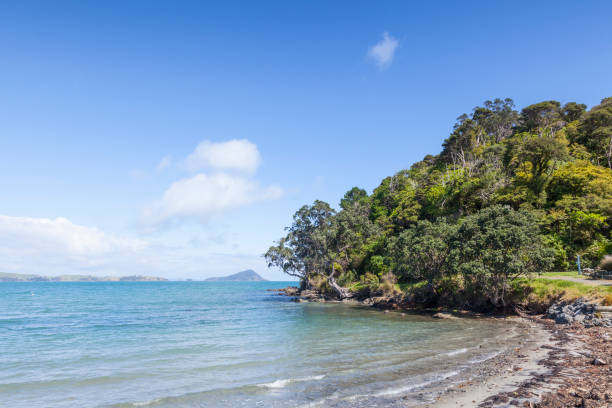 istock New Zealand Coromandel Beach 890578808