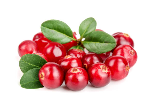 istock Cranberry with leaf isolated on white background closeup macro 890578938