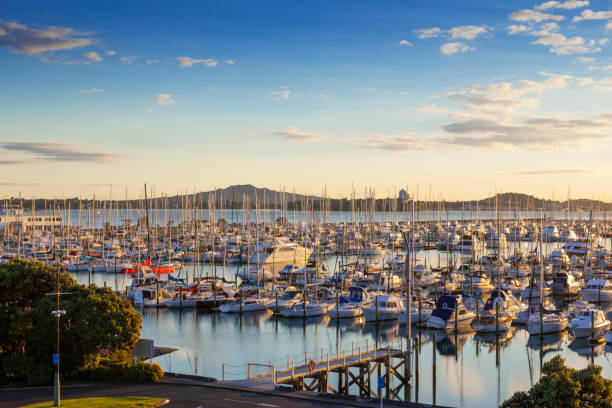 Auckland Westhaven Marina and Mount Rangitoto Westhaven Marina, Auckland, and the volcano Rangitoto, at sunrise. rangitoto island stock pictures, royalty-free photos & images