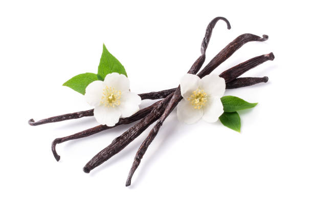 istock Vanilla sticks with flower and leaf isolated on white background 890586900