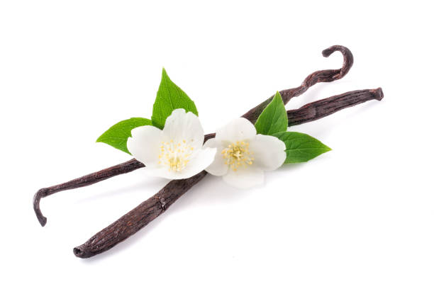 istock Vanilla sticks with flower and leaf isolated on white background 890586938