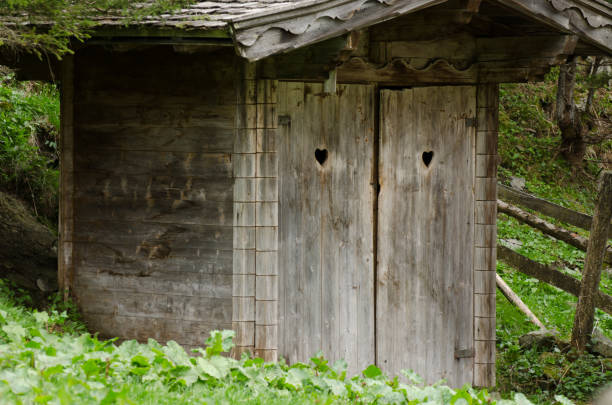 istock wooden toilet in nature 890598210
