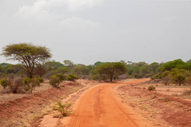 istock Landscape with red soil, on safari in Kenya
