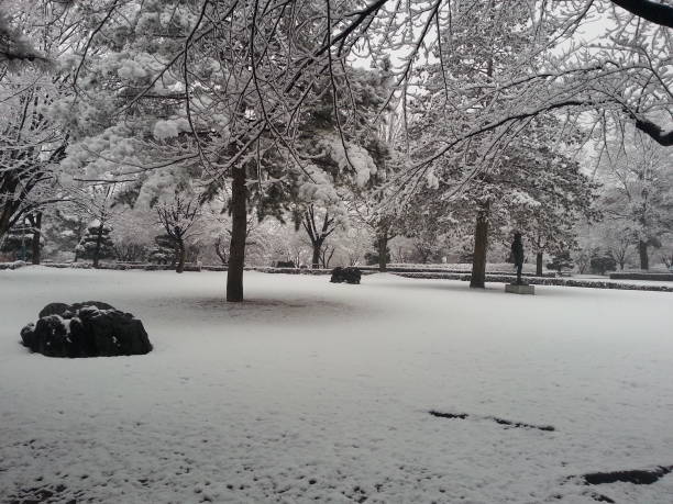 istock Snow on ground in park in day light 890606950