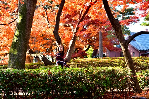 A young Japanese woman is standing with colorful autumn foliage around her in Otaguro Park, Suginami Ward, Tokyo. 