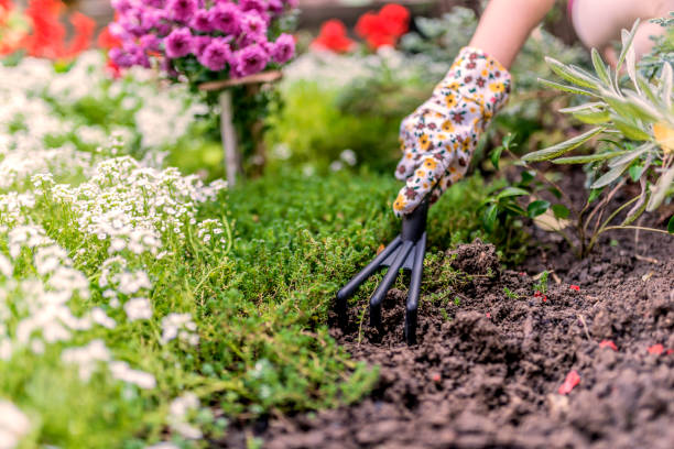 paisajista trabajando en el jardín - rastrillo artículos de jardín fotografías e imágenes de stock