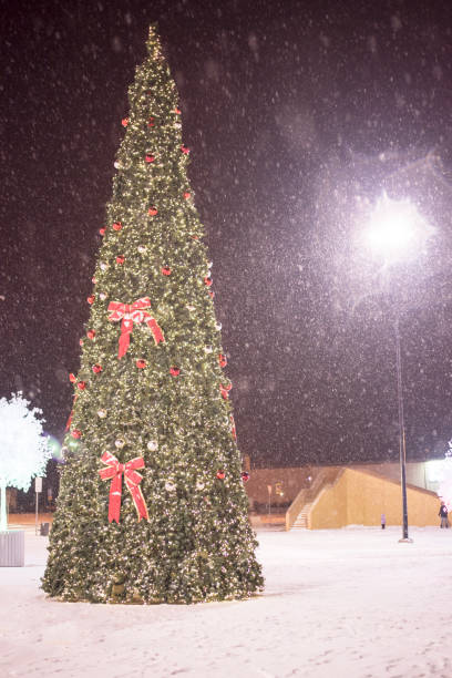 istock Christmas tree with garlands and bandikui at night during snow 890631942