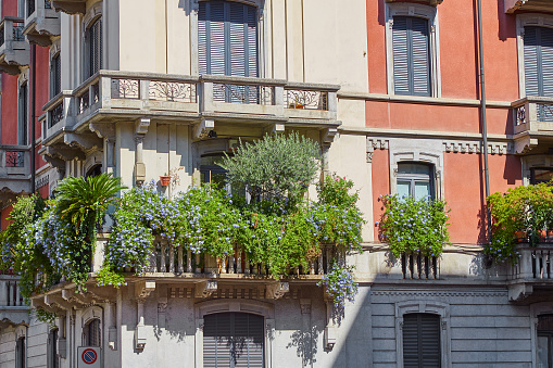 Balconies planted with flowers in one of the houses on an Italian street in Milan on a clear sunny day