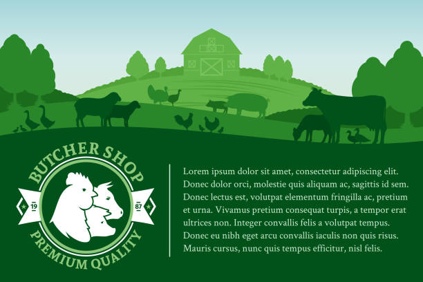 illustrazioni stock, clip art, cartoni animati e icone di tendenza di illustrazione di macelleria vettoriale - farm pig agriculture animal