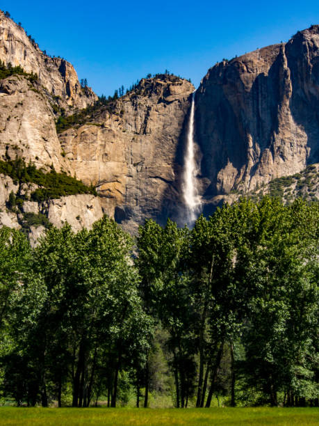 istock Yosemite Falls, Yosemite National Park, Valley, Forest 890647062