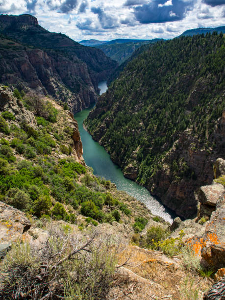 istock Gunnison River View, Black Canyon, Colorado 890647150