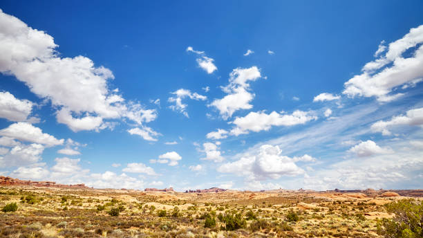 istock Vast deserted landscape with beautiful cloudscape. 890647324