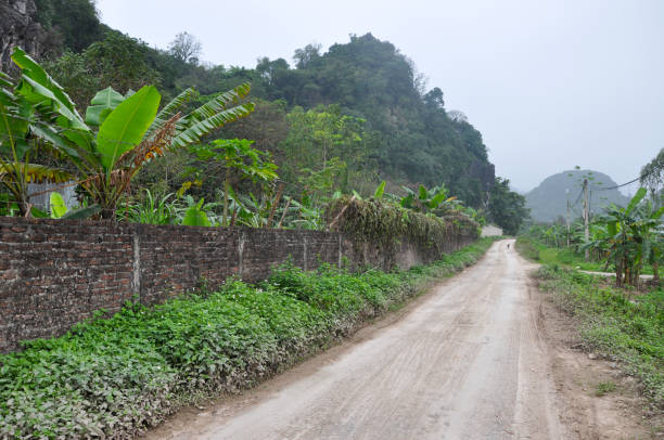 istock Vietnam landscape. Rice fields and karst towers in Ninh Binh 890647412