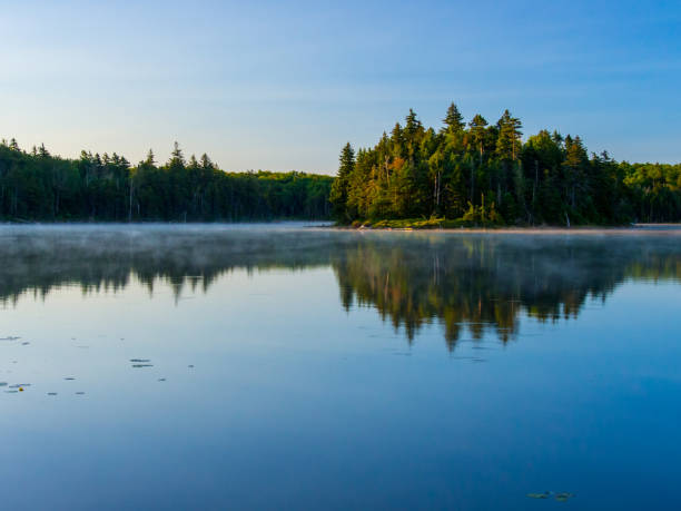 istock Bourne Pond, Vermont Green Mountains, Forest Lake 890649666