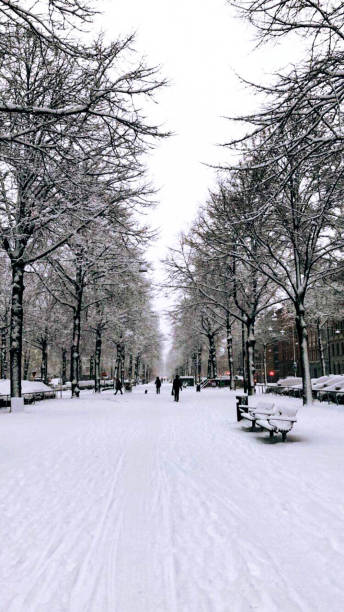 istock Sweden - Weather - Snow 890650342
