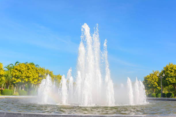 istock Fountain in a park with green tree and blue sky background 890656966
