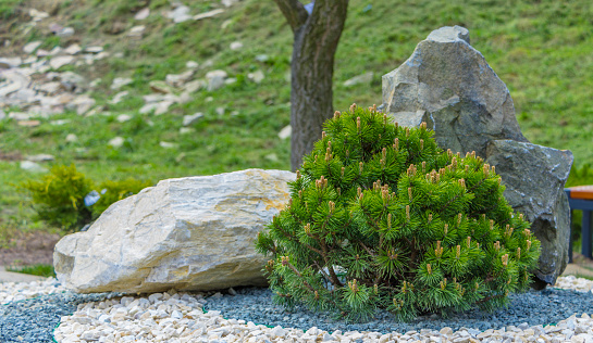 The use of marble chips and boulders in the creation of the Japanese garden of stones .