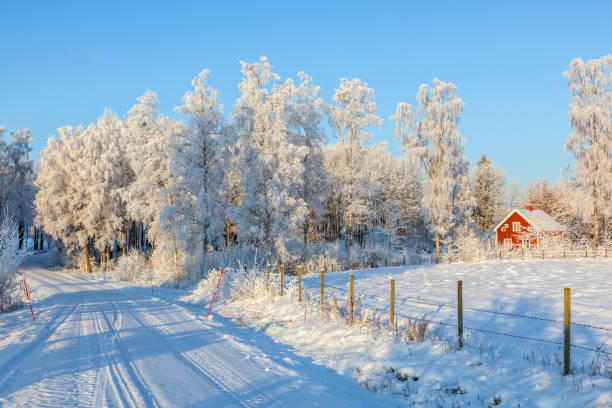 strada invernale con un cottage rosso nel paesaggio rurale - snow nature sweden cold foto e immagini stock