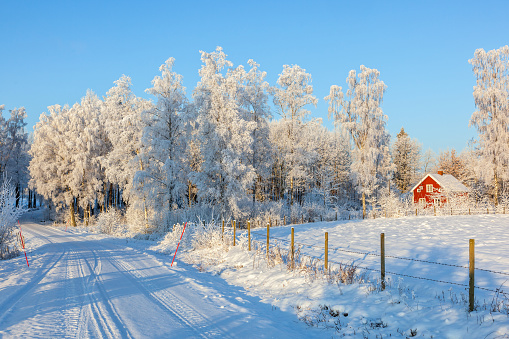 Winter road with a red cottage in rural landscape