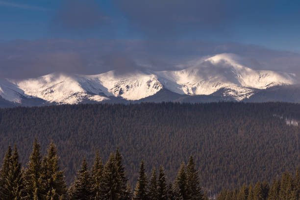 istock Foggy winter landscape in the winter mountains. 890671886