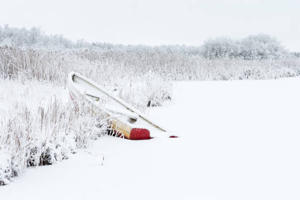 Winter view of a frozen shoreline at Lake Balaton with dense reeds and a small harbor covered in snow. Moored boats rest on the icy water, creating a quiet and atmospheric seasonal landscape.
