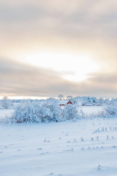 istock Winter view over fields with snow and frost 890672860