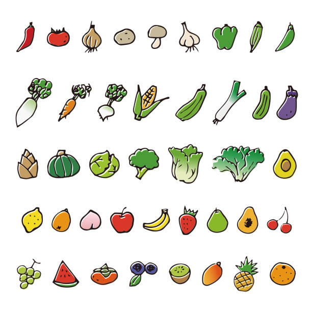 Red Radish Vector Art Icons And Graphics For Free Download