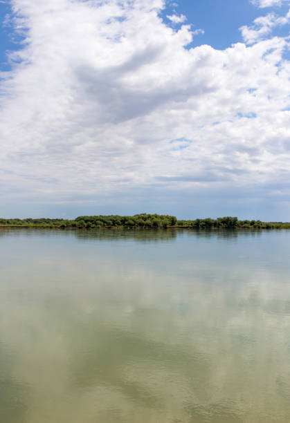 istock Beautiful nature on the river Syr Darya. Kazakhstan 890692352