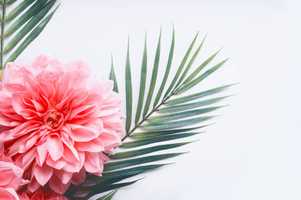 istock Pink flowers and tropical leaves on on white desktop background, top view, creative layout with copy space 890696426