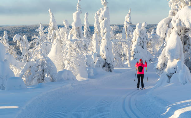 istock Woman cross country skiing 890703456