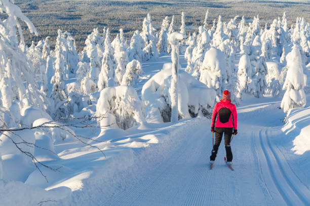 istock Woman cross country skiing 890705630
