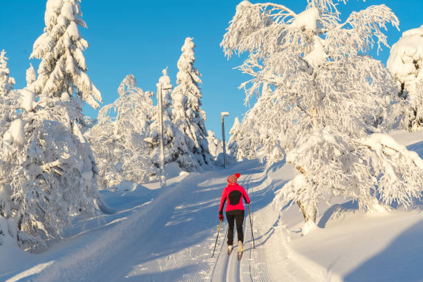 istock Woman cross country skiing 890705746