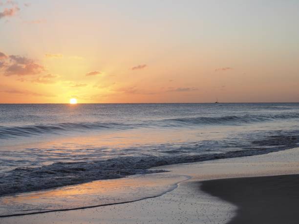 istock Salines beach at Saint-Anne in Martinique 890709960
