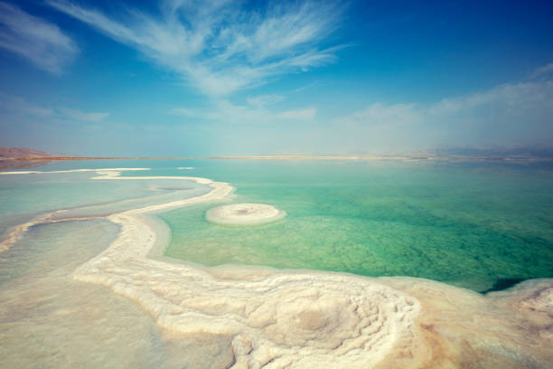 la textura del mar muerto. orilla del mar salado. israel - dead sea fotografías e imágenes de stock