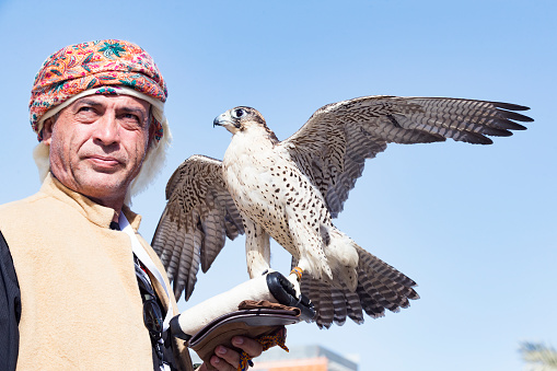 Afgan man holding a Falcon on his hand at the 4th International Festival of Falconry event happened on 8 – 9 December 2017, Khalifa Park, Abu Dhabi. The gathering of international falconers in the 4th International Festival of Falconry, in Abu Dhabi, is a true representation of UAE's efforts in preserving the heritage of humanity through the protection of traditions and customs. Under the patronage of H.H. Sheikh Khalifa bin Zayed Al Nahyan, President of the UAE, the Falconry Festival celebrates Youth and the passing on of falconry knowledge to the next generation. The event was open to public with everyone welcome to explore the colorful international celebration, which includes children’s activities, bird of prey demonstrations, talks, exhibits and exciting practical workshops on the art and practice of falconry.