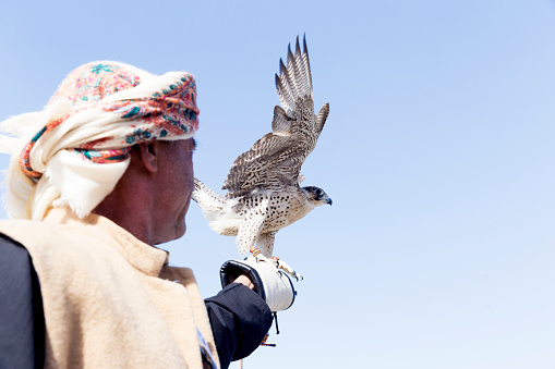 Afgan man holding a Falcon on his hand at the 4th International Festival of Falconry event happened on 8 – 9 December 2017, Khalifa Park, Abu Dhabi. The gathering of international falconers in the 4th International Festival of Falconry, in Abu Dhabi, is a true representation of UAE's efforts in preserving the heritage of humanity through the protection of traditions and customs. Under the patronage of H.H. Sheikh Khalifa bin Zayed Al Nahyan, President of the UAE, the Falconry Festival celebrates Youth and the passing on of falconry knowledge to the next generation. The event was open to public with everyone welcome to explore the colorful international celebration, which includes children’s activities, bird of prey demonstrations, talks, exhibits and exciting practical workshops on the art and practice of falconry.