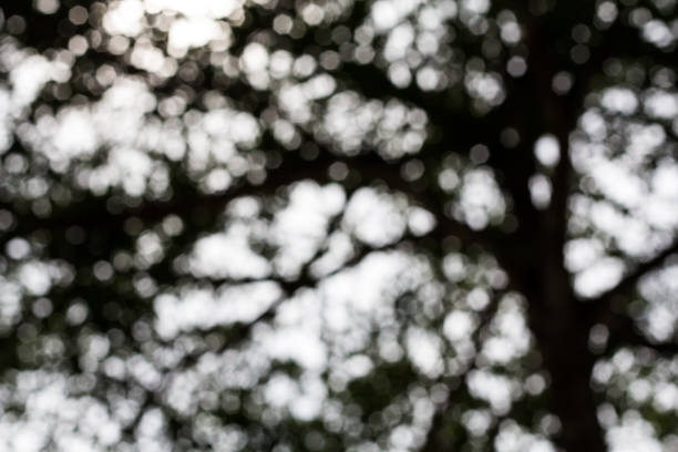 istock Bokeh or Defocused green blurred background. 890732218