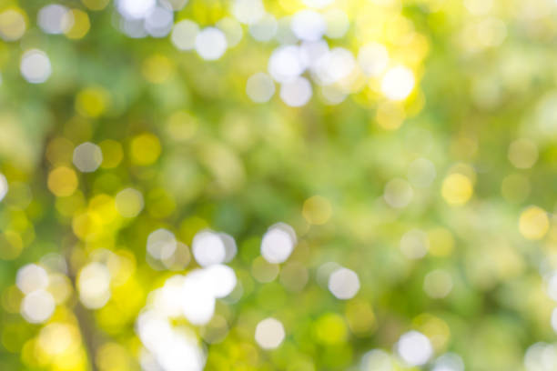 istock Bokeh or Defocused green blurred background. 890733618