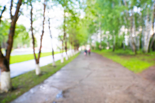 street after rain with pedestrians, blurred background